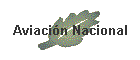 Aviaci�n Nacional