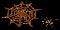 spider web