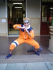 thumbs/DSC01685.jpg