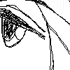 Squall, side look.