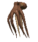 lobster