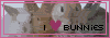 Bunnie Power!