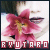 ryutaro fan