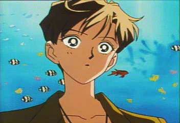 in wiht the fishies!