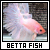 Bettas