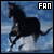 Black horses
