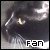 Black and white cats