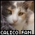Calico Cats