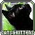 Cats + Kittens