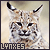 Lynxes