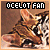 Ocelots