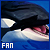 Orca Whales