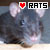 Rats