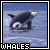 Whales