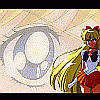 Sailor Venus Wallpaper