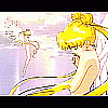 Usagi Wallpaper