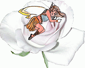 Sailor Star Fairy