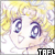 Animefanlistings.org