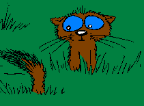 Im perky Im sweet Im curious and I pack one big bite but get away with all that I can cause I am so darn furry and cute