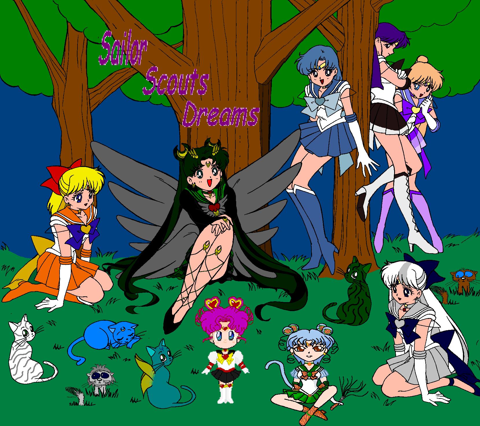 the whole entire new Sailor Scouts team starting from the left Neo sailor Venus Sailor Cresent Moon Neo sailor Mercury Sailor Calypso Sailor Titania next row atarting left Saber Aquablast Midnight Angeleyes next row Silver Lion Spinalsun Sailor Cosmos Sailor Tiger Lilly Sailor Star