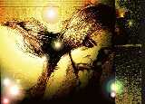 Dreamer & Fairies