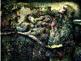 Out of Body Journeys