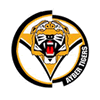 Aybertigers