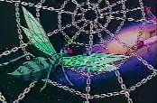 SpiderNet