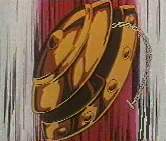 Shield