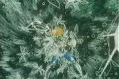 Diamond Dust