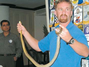 snake