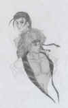 saisa2.jpg (56790 bytes)