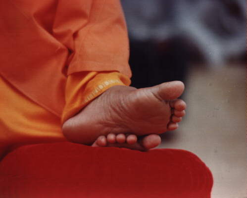 baba26.jpg - 12351 Bytes