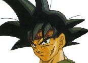 Bardock