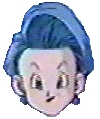 Bulma Briefs