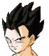 Son Gohan