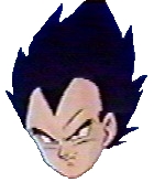 Prince Vegeta