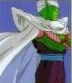 Piccolo...