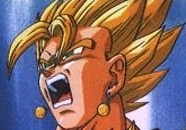 Vegitto