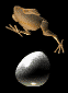 ChickenRun!