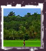 kodiyathur