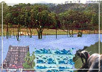 thekady,gopurum,18th century blue tiles, elephant sanctuary