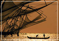 Chinese fishing net