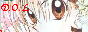 Blog_Holly