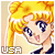 soy Fan de Usagi (yo XD)