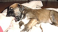 2304picsess2.jpg (11128 bytes)