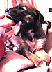 2butcandybm1.jpg (6018 bytes)