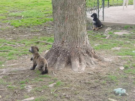 3262.jpg (64018 bytes)