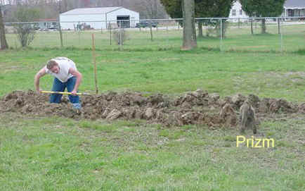 326dig.jpg (45865 bytes)