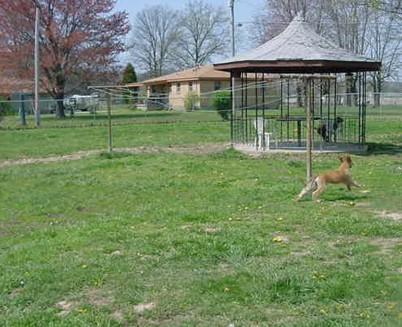 48CANDYHBG.jpg (52625 bytes)